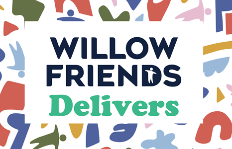 Willow Friends cumple